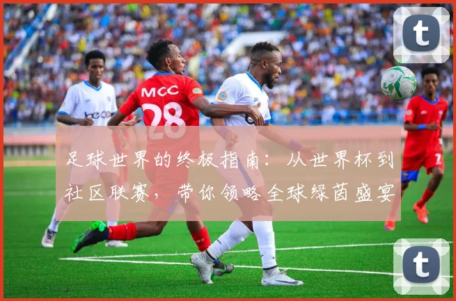 足球世界的终极指南：从世界杯到社区联赛，带你领略全球绿茵盛宴