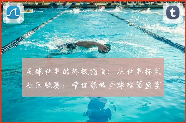 足球世界的终极指南：从世界杯到社区联赛，带你领略全球绿茵盛宴